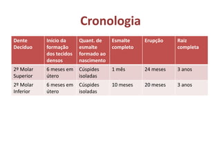 Cronologia
Dente      Início da     Quant. de    Esmalte    Erupção    Raiz
Decíduo    formação      esmalte      completo              completa
           dos tecidos   formado ao
           densos        nascimento
2º Molar   6 meses em    Cúspides     1 mês      24 meses   3 anos
Superior   útero         isoladas
2º Molar   6 meses em    Cúspides     10 meses   20 meses   3 anos
Inferior   útero         isoladas
 