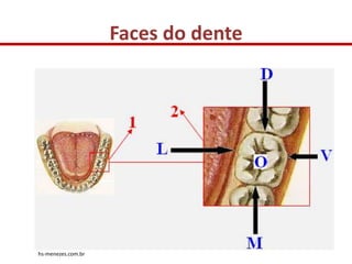 Faces do dente




hs-menezes.com.br
 