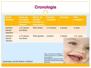 Cronologia
Dente
Decíduo
Início da
formação
dos tecidos
densos
Quant. de
esmalte
formado ao
nascimento
Esmalte
completo
Erupção Raiz
completa
Incisivo
lateral
superior
4 ½ meses
em útero
Dois terços 2 ½ meses 9 meses 2 anos
Incisivo
lateral
inferior
4 ½ meses
em útero
Três quintos 3 meses 7 meses 1 ½ anos
Anatomia oral de Sicher e Dubrul
http://revistacrescer.globo.co
m/Revista/Crescer/0,,EMI961
34-10448,00-
MANEIRAS%20DE%20FAZE
R%20SEU%20FILHO%20SOR
RIR.html
 