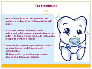 Os Decíduos
 Nesta dentição estão ausentes os pré-
molares e os terceiros molares (dentes do
juízo).
 A cor dos dentes decíduos é mais
esbranquiçada( nome comum de dentes de
leite) - ao terem menor tempo de maturação,
a capa de dentina é menor
 Homodontes: animais que possuem todos
os seus dentes morfologicamente
semelhantes
Heterodontes : animais que possuem
dentes com formatos variados
 