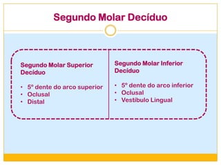Segundo Molar Decíduo
Segundo Molar Superior
Decíduo
• 5º dente do arco superior
• Oclusal
• Distal
Segundo Molar Inferior
Decíduo
• 5º dente do arco inferior
• Oclusal
• Vestíbulo Lingual
 