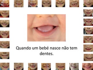 Quando um bebé nasce não tem
dentes.
