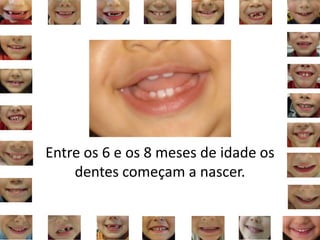 Entre os 6 e os 8 meses de idade os
dentes começam a nascer.