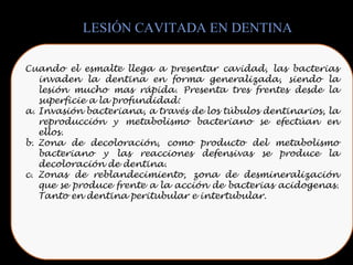 Cuando el esmalte llega a presentar cavidad, las bacterias
invaden la dentina en forma generalizada, siendo la
lesión mucho mas rápida. Presenta tres frentes desde la
superficie a la profundidad:
a. Invasión bacteriana, a través de los túbulos dentinarios, la
reproducción y metabolismo bacteriano se efectúan en
ellos.
b. Zona de decoloración, como producto del metabolismo
bacteriano y las reacciones defensivas se produce la
decoloración de dentina.
c. Zonas de reblandecimiento, zona de desmineralización
que se produce frente a la acción de bacterias acidogenas.
Tanto en dentina peritubular e intertubular.
LESIÓN CAVITADA EN DENTINA
 