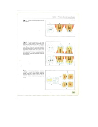 Dentistica 2