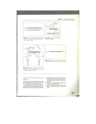 Dentistica 2