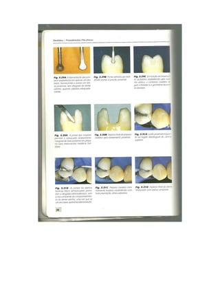 Dentistica 2