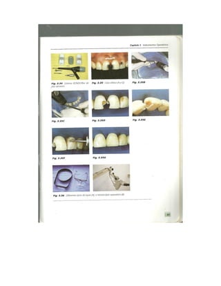 Dentistica 2