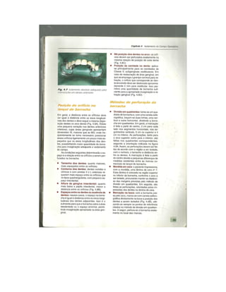 Dentistica 2
