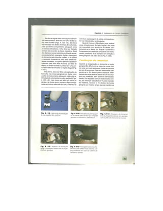 Dentistica 2