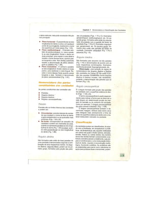 Dentistica 2