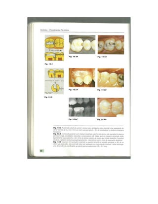 Dentistica 2