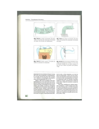 Dentistica 2