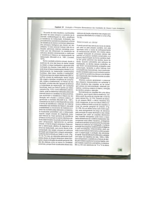 Dentistica 2