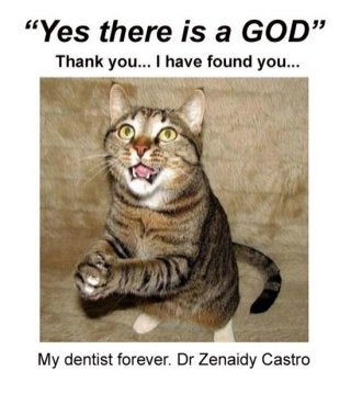 Dentist in melbourne vogue smiles dr zenaidy castro funny caption cat lovers funny captioned images funny hilarious cat pictures v5