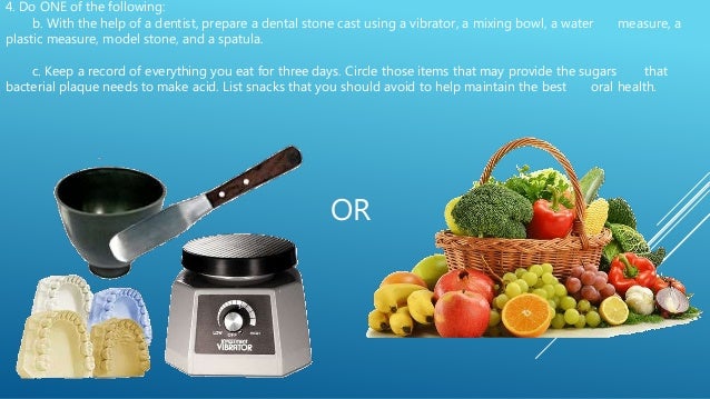 Dentistry Merit Badge