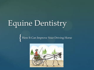Equine Dentistry
  {   How It Can Improve Your Driving Horse
 