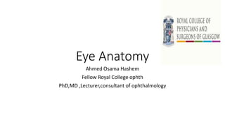 Eye Anatomy
Ahmed Osama Hashem
Fellow Royal College ophth
PhD,MD ,Lecturer,consultant of ophthalmology
 