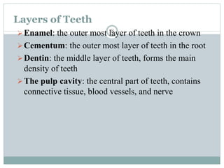Dentistry 2023.pptx
