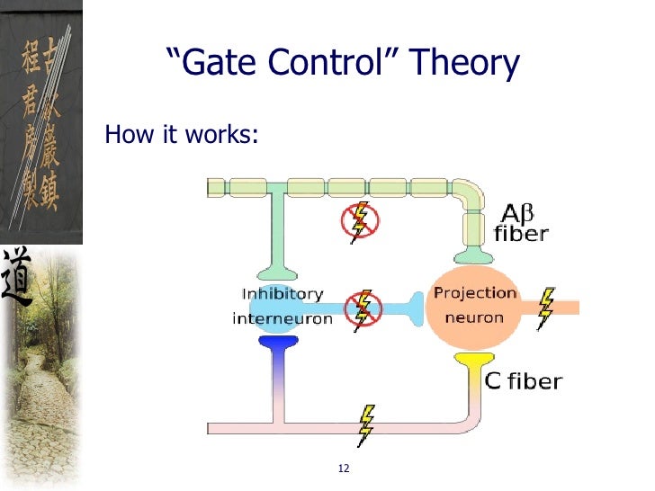 Dentistry And Acupuncture