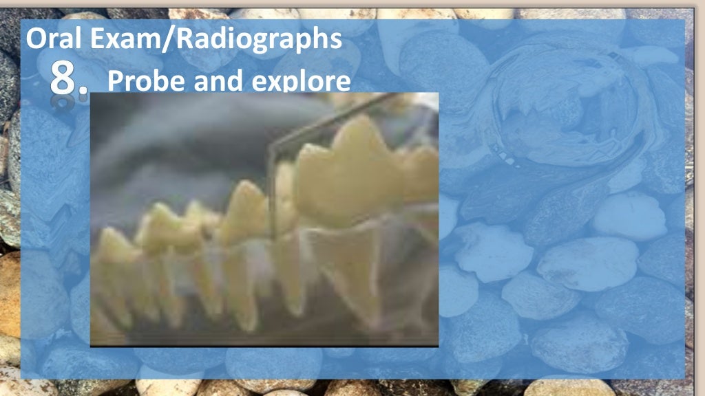 Veterinary Dentistry for Technicians