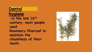 Dental
hygiene

-in the mid 16th
century, most people
used
Rosemary Charcoal to
maintain the
cleanliness of their
teeth.

 