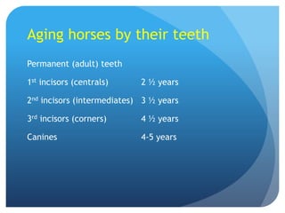 Aging horses by their teeth
Permanent (adult) teeth
1st incisors (centrals) 2 ½ years
2nd incisors (intermediates) 3 ½ years
3rd incisors (corners) 4 ½ years
Canines 4-5 years
 