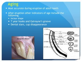 Aging
 Most accurate during eruption of adult teeth
 After eruption other indicators of age include the
following.
 Incisor shape
 7 year hooks and Galvayne’s groove
 Dental stars, cup disappearance
 