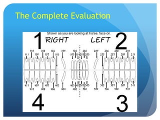 The Complete Evaluation
 