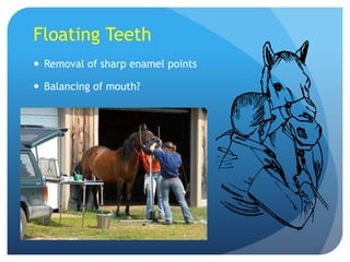 Floating Teeth
 Removal of sharp enamel points
 Balancing of mouth?
 