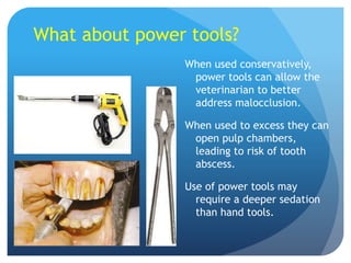 What about power tools?
When used conservatively,
power tools can allow the
veterinarian to better
address malocclusion.
When used to excess they can
open pulp chambers,
leading to risk of tooth
abscess.
Use of power tools may
require a deeper sedation
than hand tools.
 