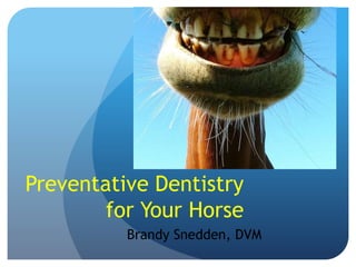 Brandy Snedden, DVM
Preventative Dentistry
for Your Horse
 