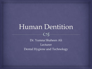 Dr. Yumna Shaheen Ali
Lecturer
Dental Hygiene and Technology
 