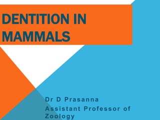 DENTITION IN
MAMMALS
Dr D Prasanna
Assistant Professor of
Zoology
 