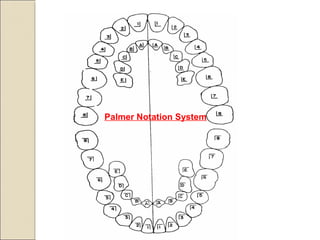 Palmer Notation System
 
