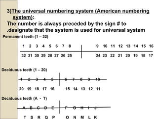 3)The universal numbering system (American numbering
system):.
The number is always preceded by the sign # to
designate that the system is used for universal system.
Permanent teeth (1 – 32)
1 2 3 4 5 6 7 8 9 10 11 12 13 14 15 16
32 31 30 29 28 27 26 25 24 23 22 21 20 19 18 17
Deciduous teeth (1 – 20)
1 2 3 4 5 6 7 8 9 10
20 19 18 17 16 15 14 13 12 11
Deciduous teeth (A - T)
A B C D E F G H I J
T S R Q P O N M L K
 