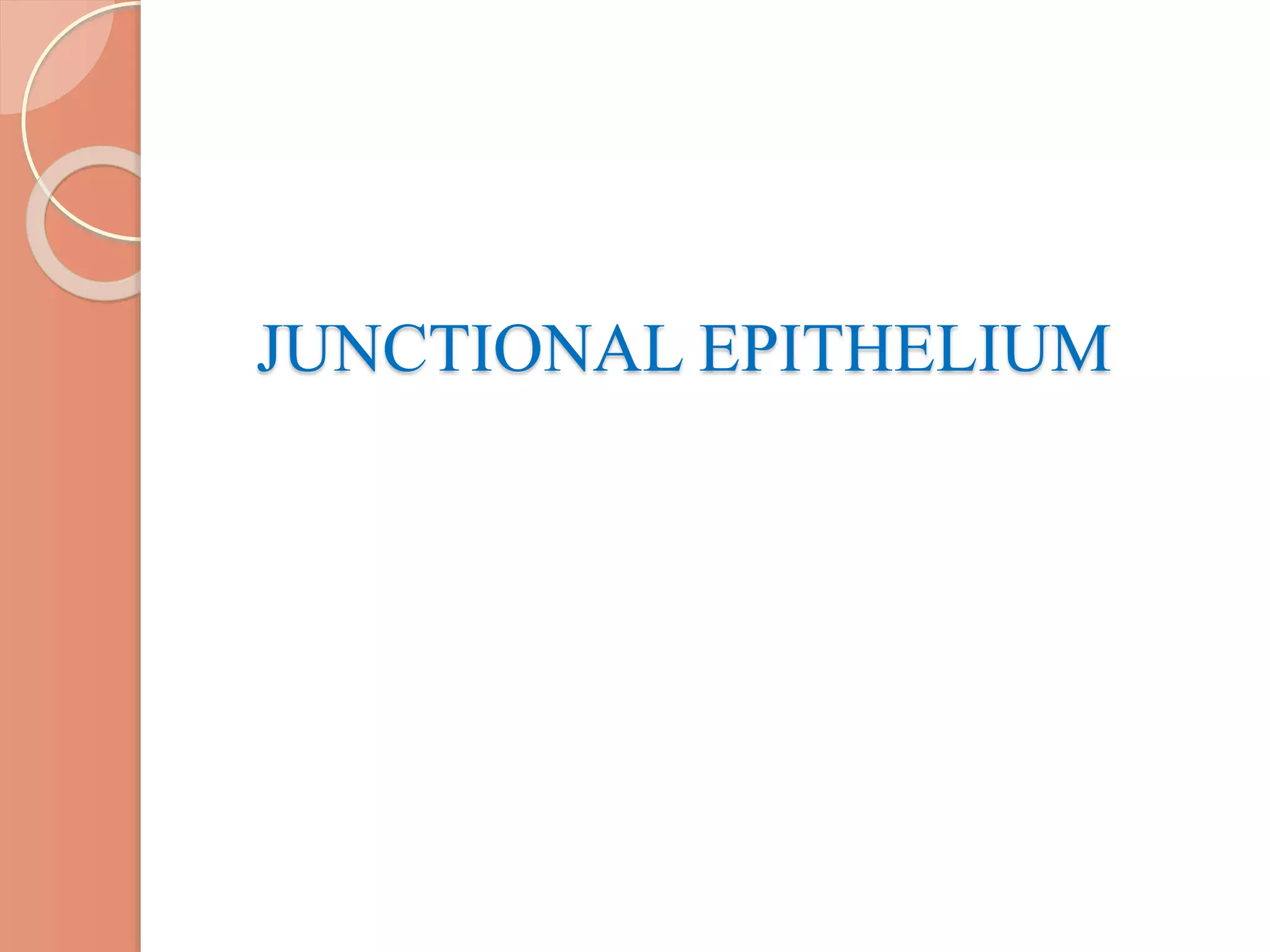 JUNCTIONAL EPITHELIUM
 