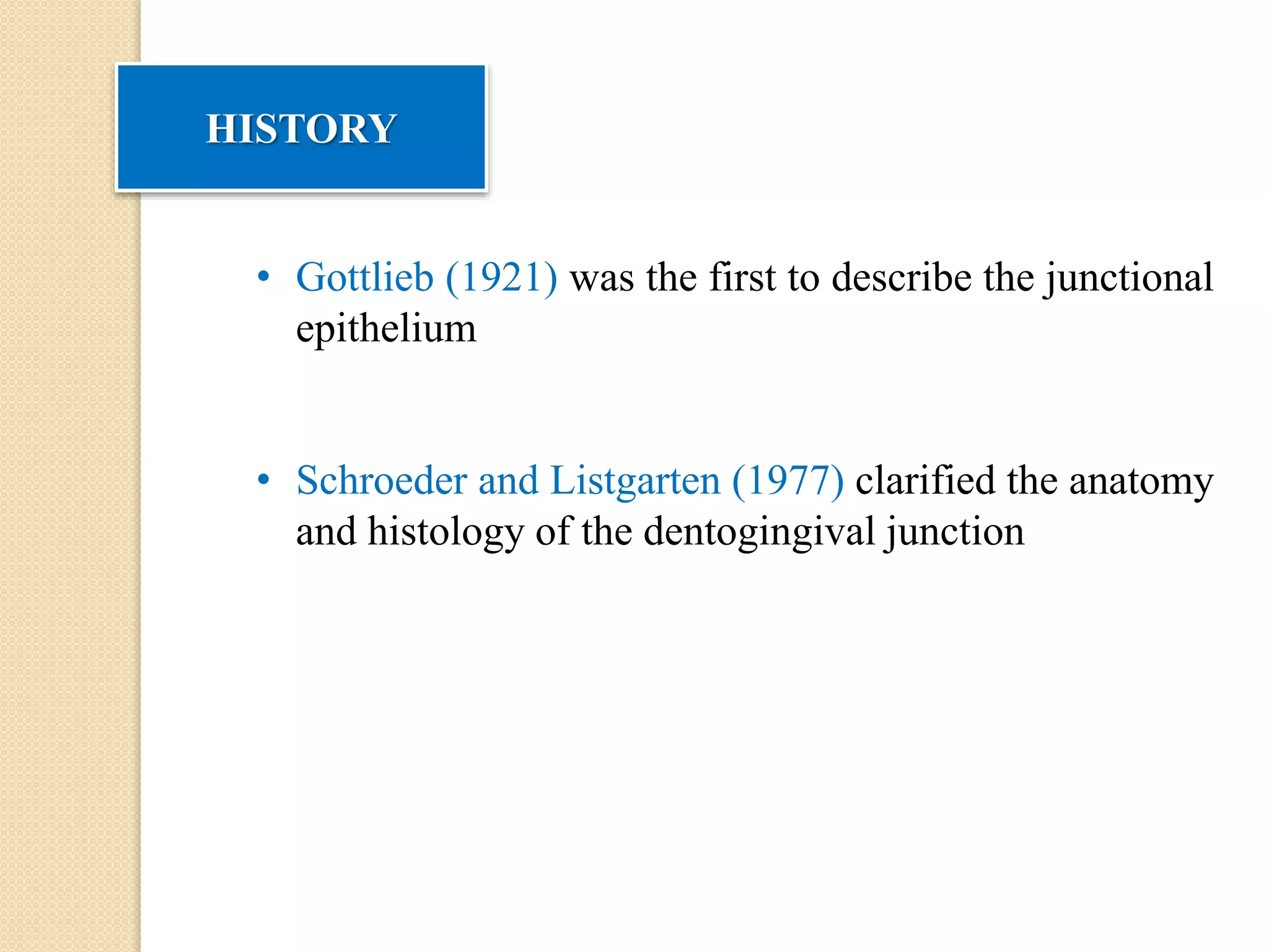 HISTORY
• Gottlieb (1921) was the first to describe the junctional
epithelium
• Schroeder and Listgarten (1977) clarified the anatomy
and histology of the dentogingival junction
 