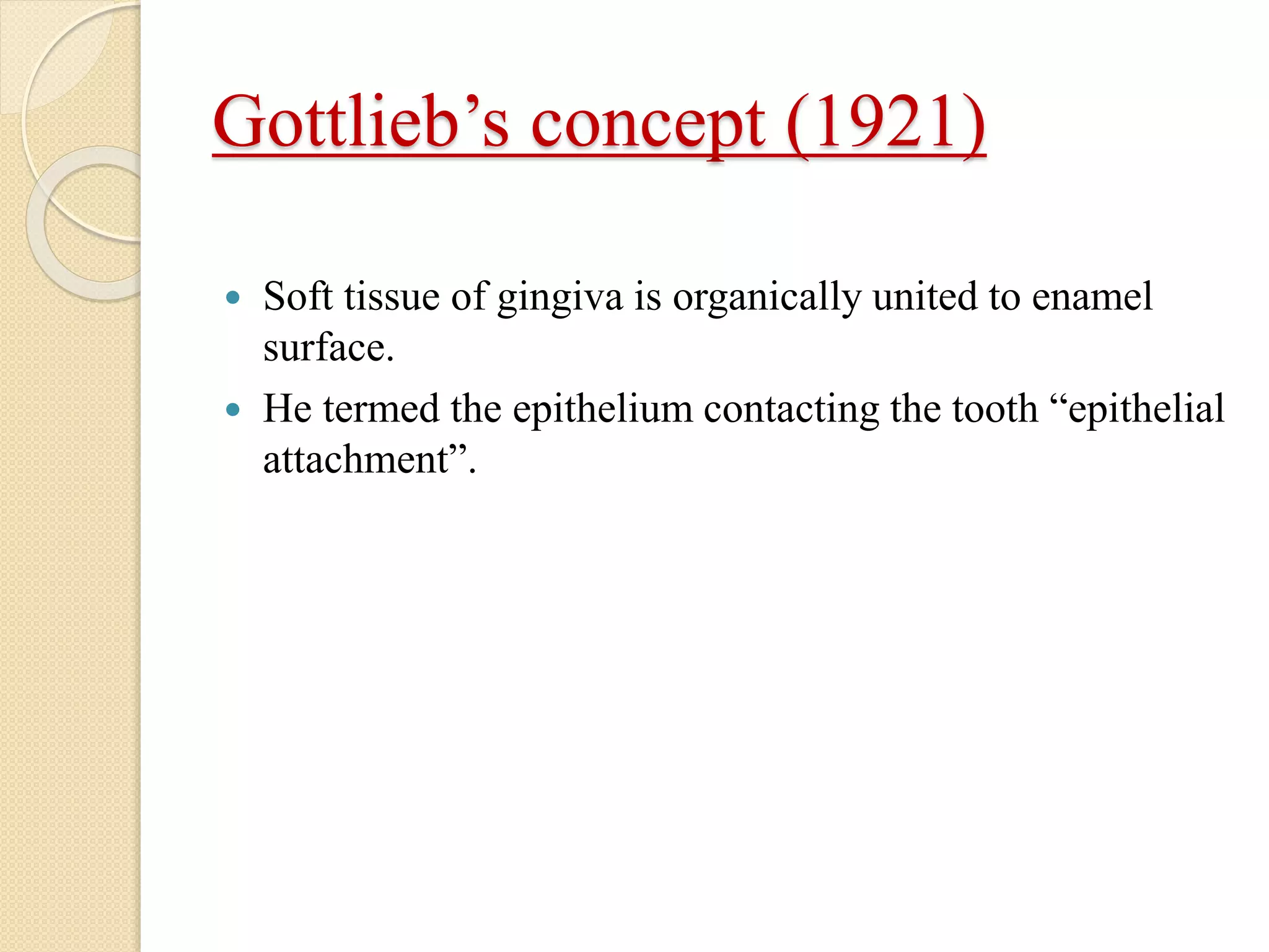 Gottlieb’s concept (1921)
 Soft tissue of gingiva is organically united to enamel
surface.
 He termed the epithelium contacting the tooth “epithelial
attachment”.
 