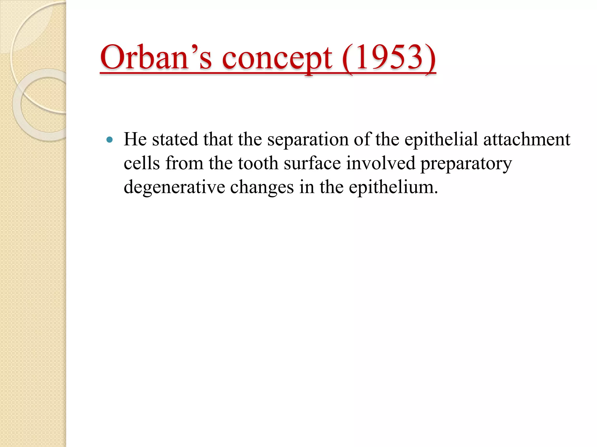 Orban’s concept (1953)
 He stated that the separation of the epithelial attachment
cells from the tooth surface involved preparatory
degenerative changes in the epithelium.
 