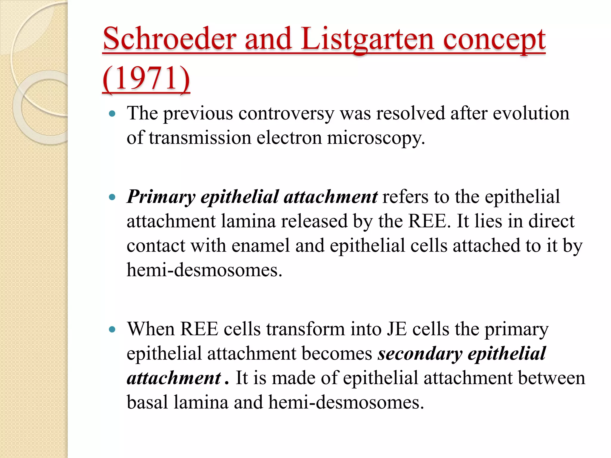 Schroeder and Listgarten concept
(1971)
 The previous controversy was resolved after evolution
of transmission electron microscopy.
 Primary epithelial attachment refers to the epithelial
attachment lamina released by the REE. It lies in direct
contact with enamel and epithelial cells attached to it by
hemi-desmosomes.
 When REE cells transform into JE cells the primary
epithelial attachment becomes secondary epithelial
attachment . It is made of epithelial attachment between
basal lamina and hemi-desmosomes.
 