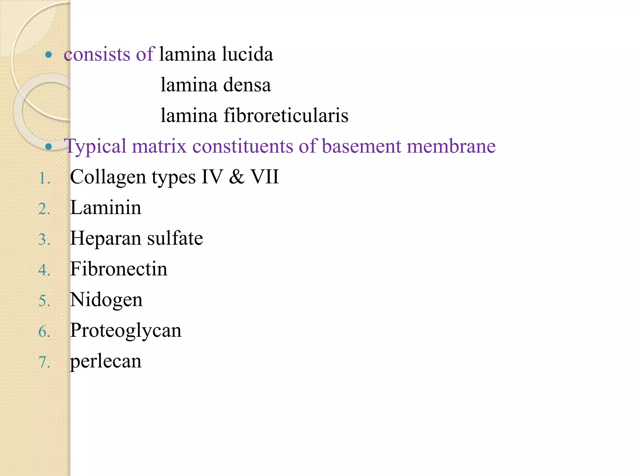  consists of lamina lucida
lamina densa
lamina fibroreticularis
 Typical matrix constituents of basement membrane
1. Collagen types IV & VII
2. Laminin
3. Heparan sulfate
4. Fibronectin
5. Nidogen
6. Proteoglycan
7. perlecan
 