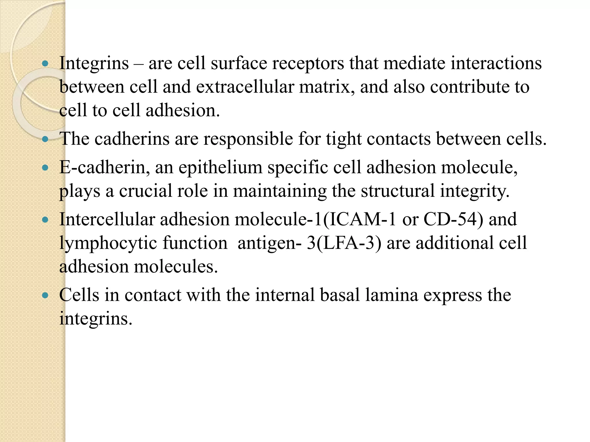  Integrins – are cell surface receptors that mediate interactions
between cell and extracellular matrix, and also contribute to
cell to cell adhesion.
 The cadherins are responsible for tight contacts between cells.
 E-cadherin, an epithelium specific cell adhesion molecule,
plays a crucial role in maintaining the structural integrity.
 Intercellular adhesion molecule-1(ICAM-1 or CD-54) and
lymphocytic function antigen- 3(LFA-3) are additional cell
adhesion molecules.
 Cells in contact with the internal basal lamina express the
integrins.
 