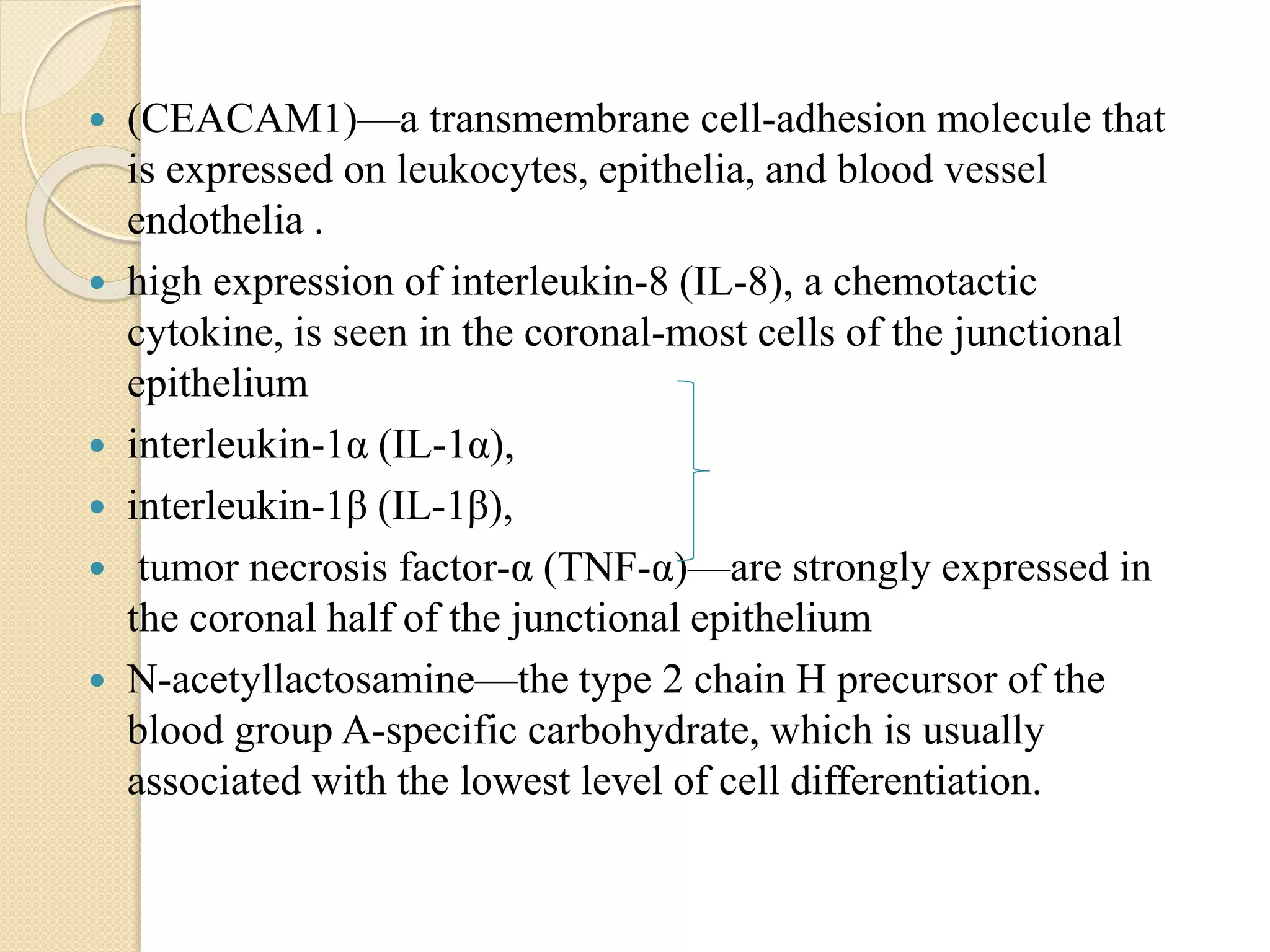  (CEACAM1)—a transmembrane cell-adhesion molecule that
is expressed on leukocytes, epithelia, and blood vessel
endothelia .
 high expression of interleukin-8 (IL-8), a chemotactic
cytokine, is seen in the coronal-most cells of the junctional
epithelium
 interleukin-1α (IL-1α),
 interleukin-1β (IL-1β),
 tumor necrosis factor-α (TNF-α)—are strongly expressed in
the coronal half of the junctional epithelium
 N-acetyllactosamine—the type 2 chain H precursor of the
blood group A-specific carbohydrate, which is usually
associated with the lowest level of cell differentiation.
 