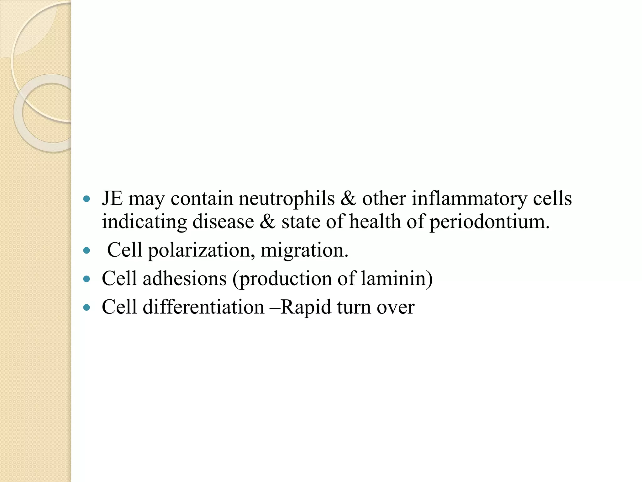  JE may contain neutrophils & other inflammatory cells
indicating disease & state of health of periodontium.
 Cell polarization, migration.
 Cell adhesions (production of laminin)
 Cell differentiation –Rapid turn over
 