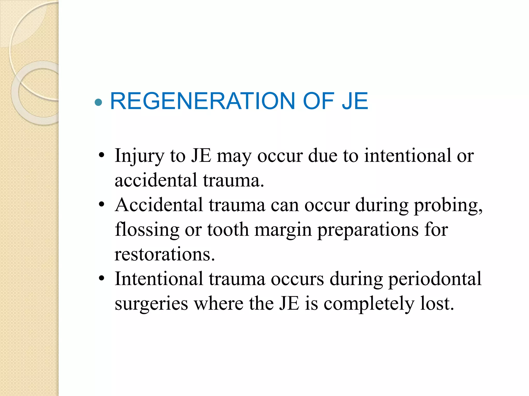  REGENERATION OF JE
• Injury to JE may occur due to intentional or
accidental trauma.
• Accidental trauma can occur during probing,
flossing or tooth margin preparations for
restorations.
• Intentional trauma occurs during periodontal
surgeries where the JE is completely lost.
 