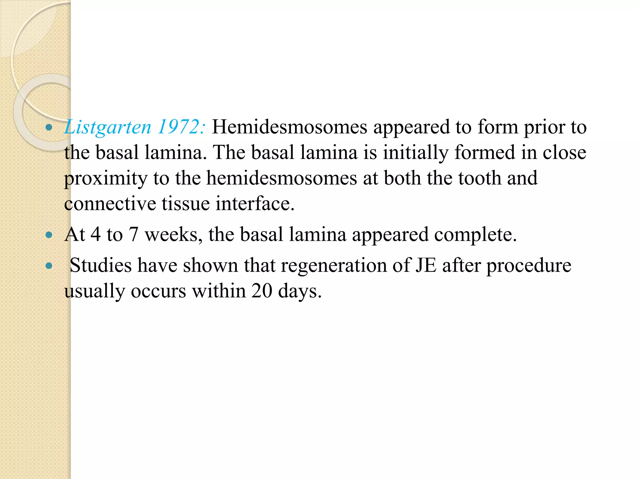  Listgarten 1972: Hemidesmosomes appeared to form prior to
the basal lamina. The basal lamina is initially formed in close
proximity to the hemidesmosomes at both the tooth and
connective tissue interface.
 At 4 to 7 weeks, the basal lamina appeared complete.
 Studies have shown that regeneration of JE after procedure
usually occurs within 20 days.
 