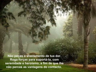 Não peças o afastamento de tua dor. Roga forças para suportá-Ia, com serenidade e heroísmo, a fim de que lhe não percas as vantagens do contacto.  