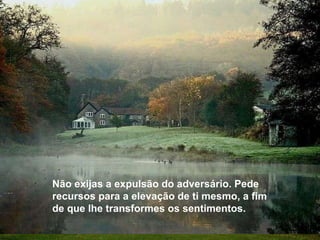Não exijas a expulsão do adversário. Pede recursos para a elevação de ti mesmo, a fim de que lhe transformes os sentimentos.  Não exijas a expulsão do adversário. Pede recursos para a elevação de ti mesmo, a fim de que lhe transformes os sentimentos.  Não exijas a expulsão do adversário. Pede recursos para a elevação de ti mesmo, a fim de que lhe transformes os sentimentos.  