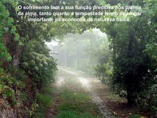 O sofrimento tem a sua função preciosa nos planos da alma, tanto quanto a tempestade tem o seu lugar importante na economia da natureza física.  O sofrimento tem a sua função preciosa nos planos da alma, tanto quanto a tempestade tem o seu lugar importante na economia da natureza física.  